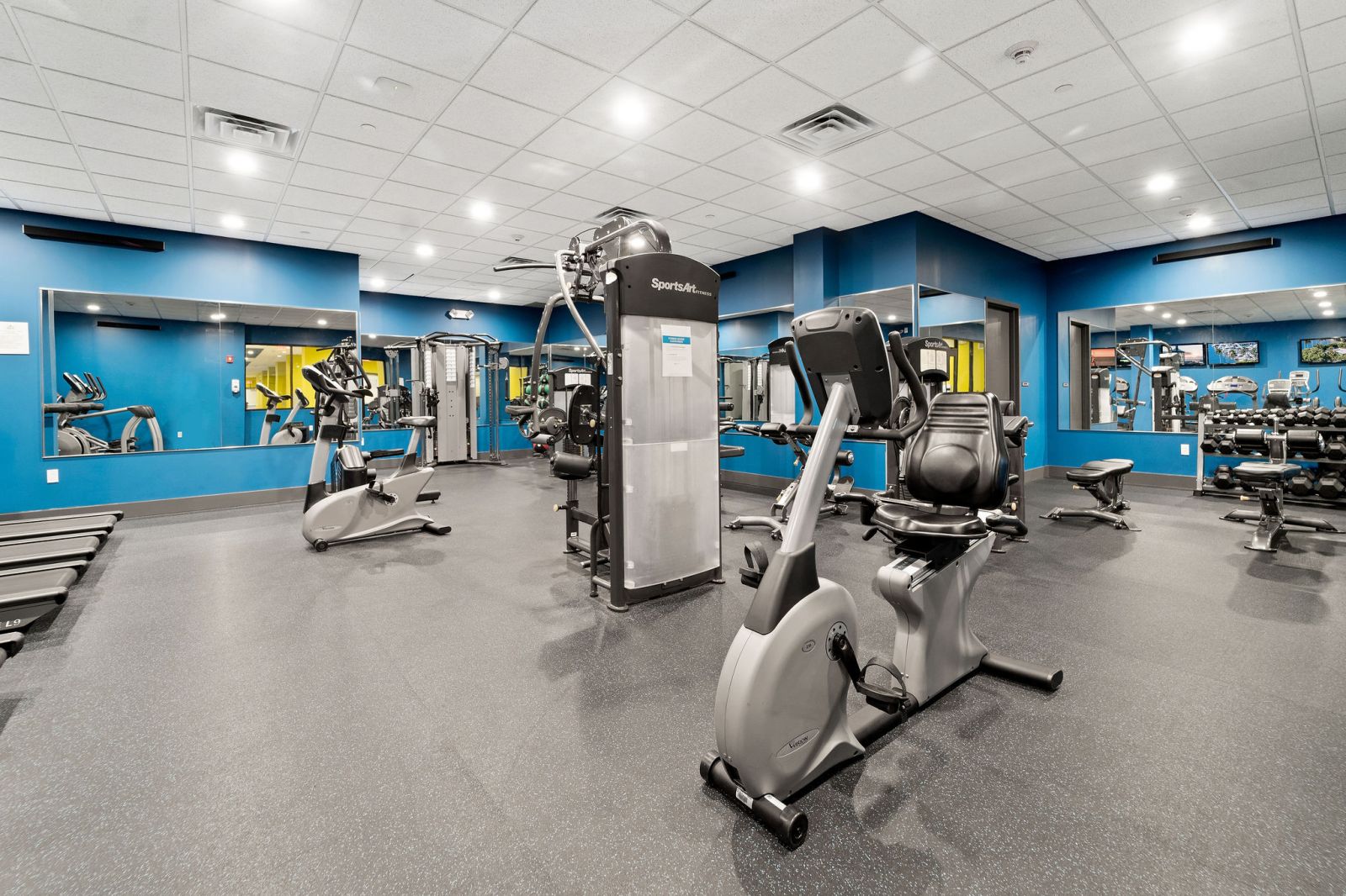 Gym off campus housing in Binghamton NY